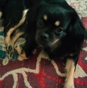 Meet your Posher, Ted